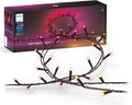 Philips Hue Innen, Festavia Lichterkette, 500 Mini LEDs, 40 m
