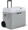 Kühlschrank IE42 12V 230V 42L elektrische Kühlbox und - kompakter Mini-, für Auto, Camping, Urlaub, Boot, Festivals - mit Rollen und Teleskopgriff