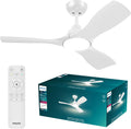 Tischventilator, LED Olas Deckenventilator 30 W mit Fernbedienung, Dimmbar, PHILIPS