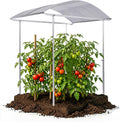Beckmann Abdeckplanen, Tomatendach PSR2, Stabile Tomatenüberdachung & Überdachung für Hochbeet 200x150 cm, Winterfestes Alu Schutzdach